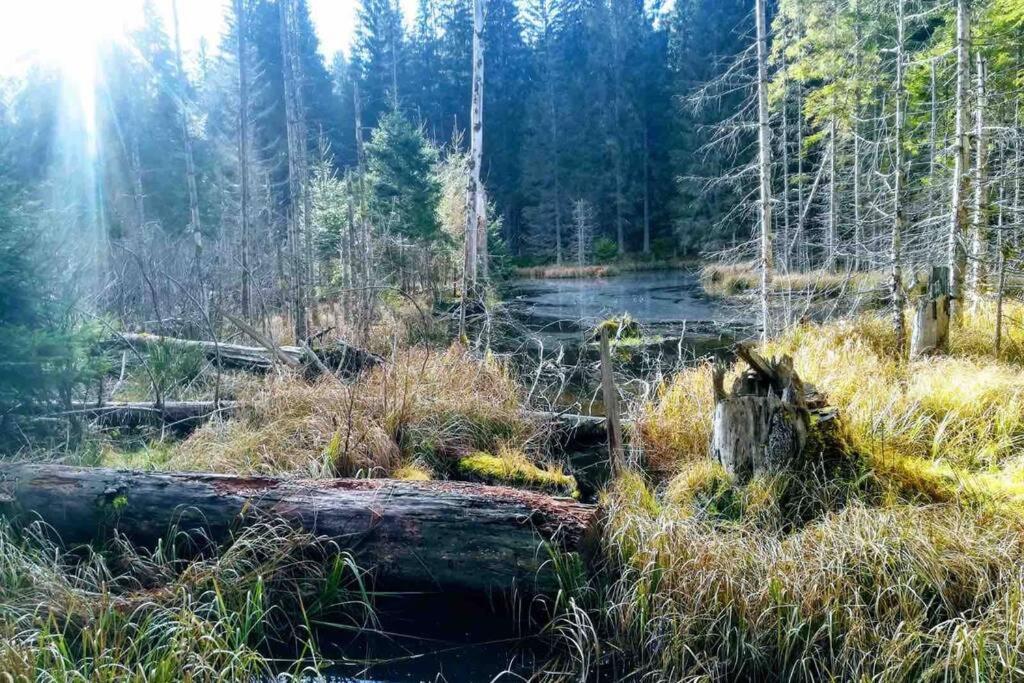 Apartman Jakub Sklar Železná Ruda Buitenkant foto