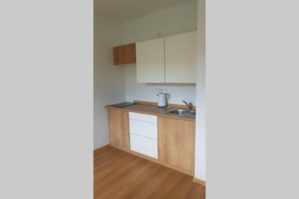 Apartman Jakub Sklar Železná Ruda Buitenkant foto